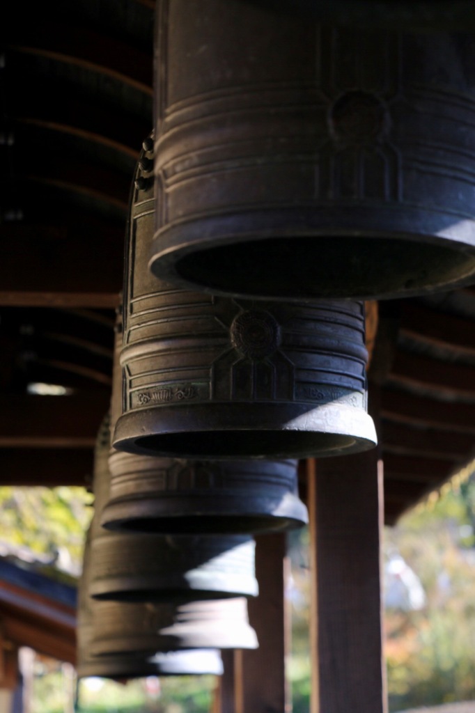 あれ？意外と早く晴れてきた(^-^)