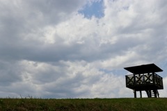 季節の変わり目