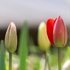 夏のような暑さ