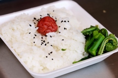 ゴールデンウィーク初日のランチ