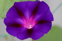 夏ももう終わりかな？！