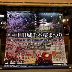 今年は⁈