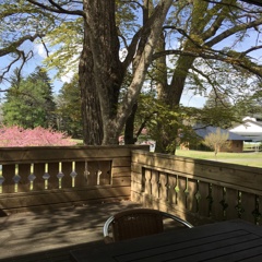 風さわやか軽井沢