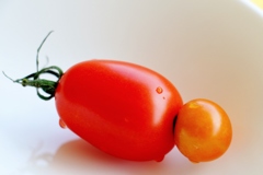 トマトの収穫もこれで最後かな(^_^)