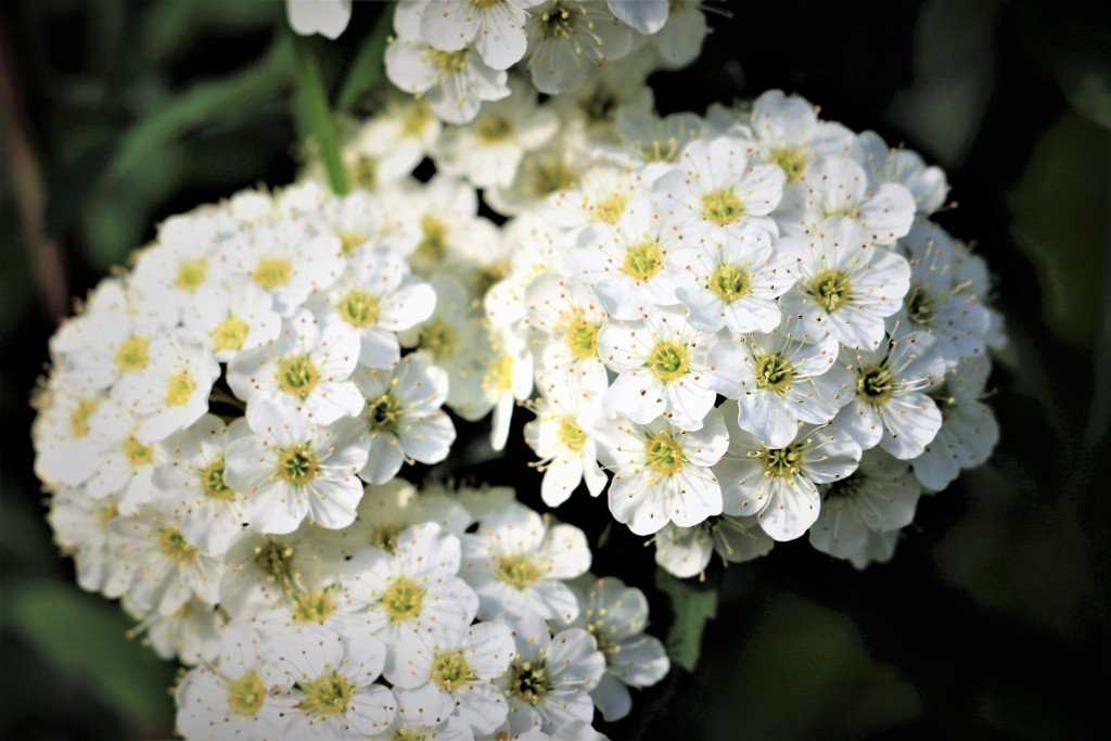 再びお名前知らずm(__)m