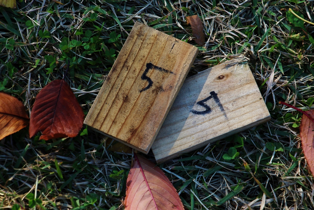 今日はいい夫婦の日♫