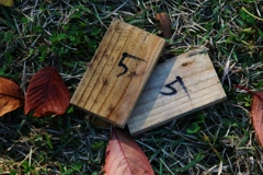 今日はいい夫婦の日♫