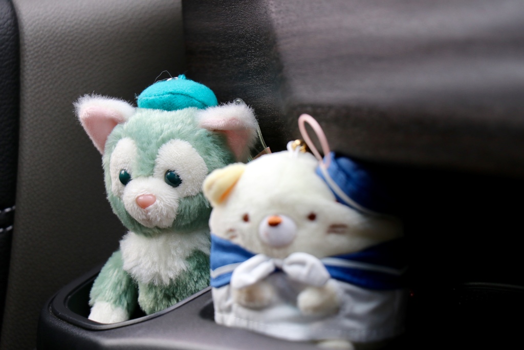 お天気良いけど遠出は無しよ\(//∇//)\