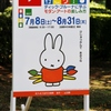 当然、我が家はミサワホーム♡