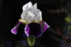 今日も凄く良い天気