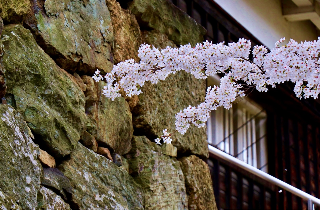 今夜からお天気大荒れ\(//∇//)\