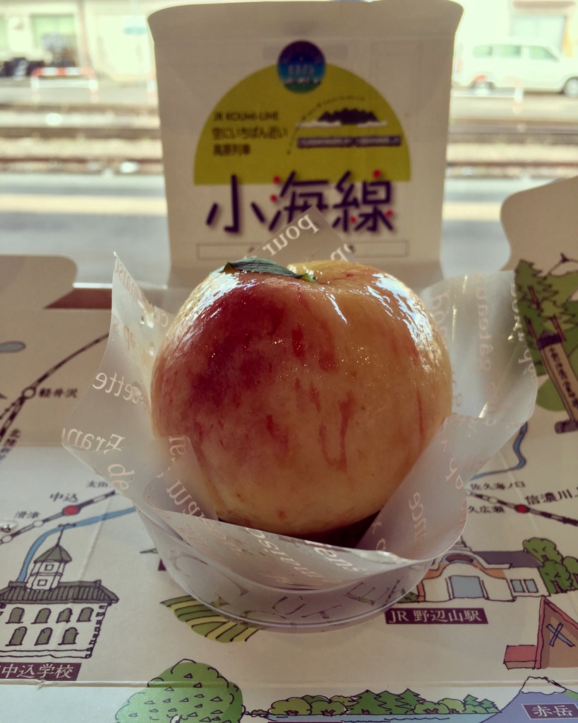 良い鉄道の旅だった^_^