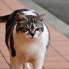 目つきが違うぞ！