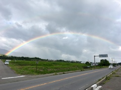 カメラ不所持の日曜日\(//∇//)\