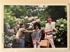 古いアルバムの中の