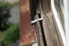 恵みの夕立(^-^)