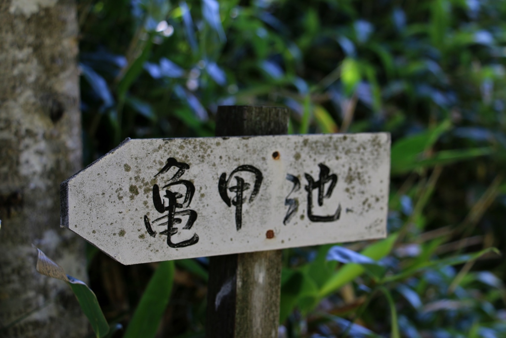 双子池072