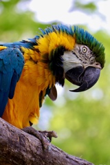 久しぶりの動物園