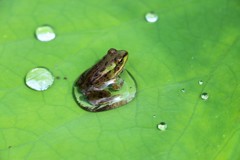 爽やかだけど暑いぞ！信州