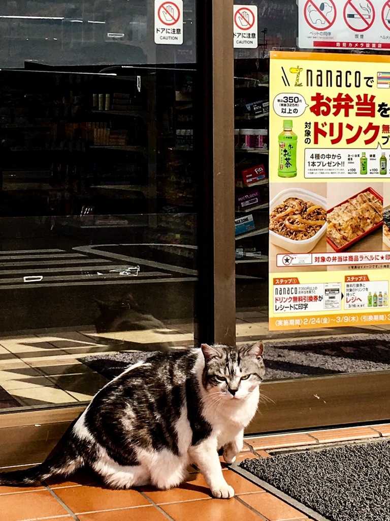 開いてて良かった何時ものセブン⁈