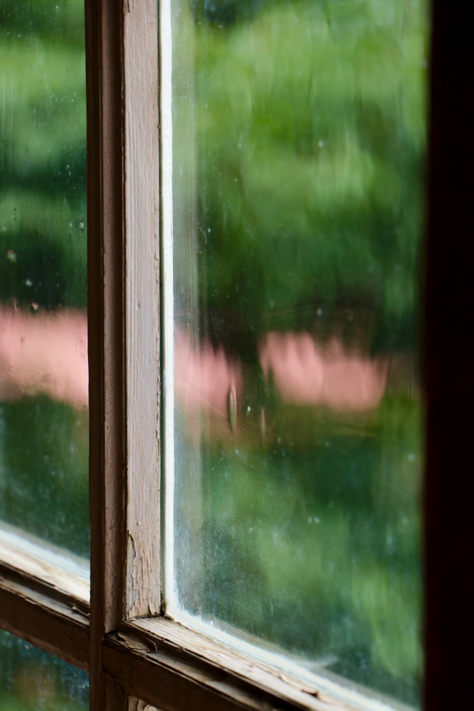 新聞に載ってシマツタ\(//∇//)\