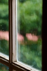 新聞に載ってシマツタ\(//∇//)\