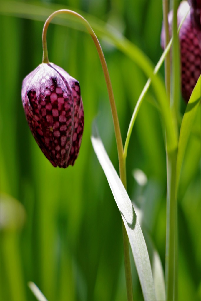 また冬に逆戻り