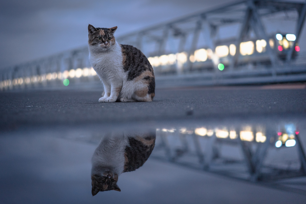 日が暮れて
