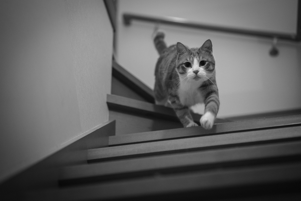 階段