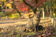 お母さん