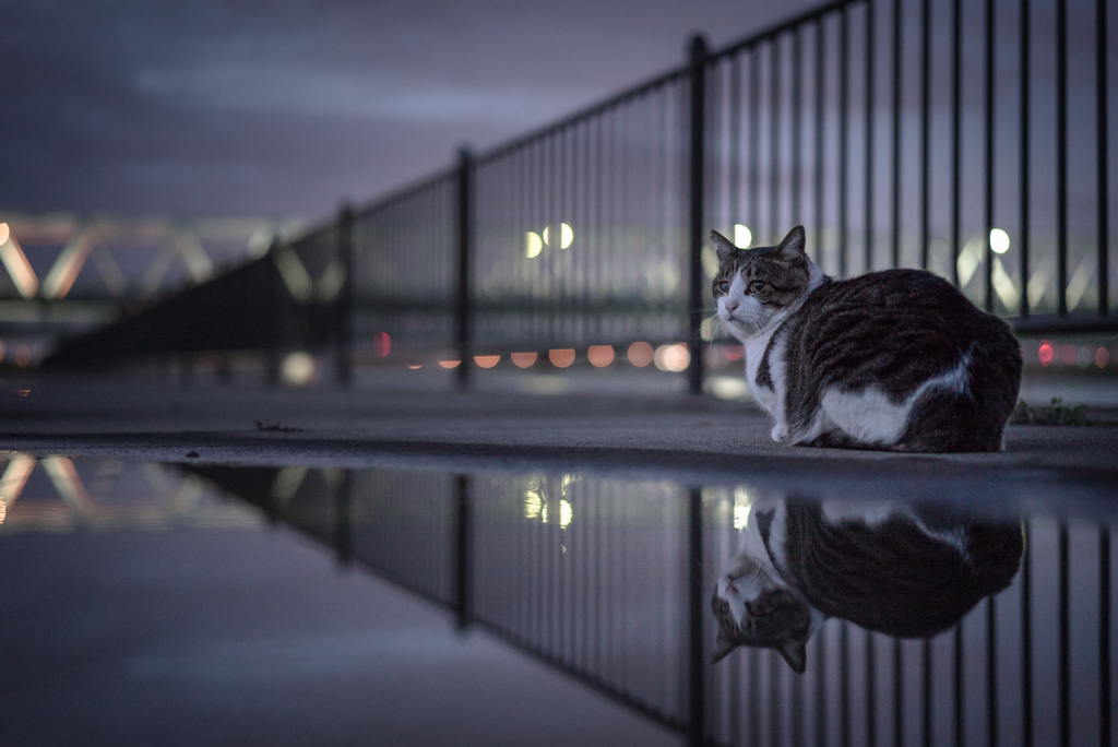 雨のあと