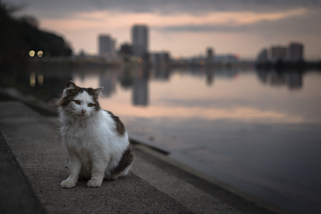 オレとほのかな夕焼け