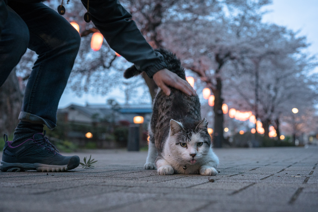 愛されて