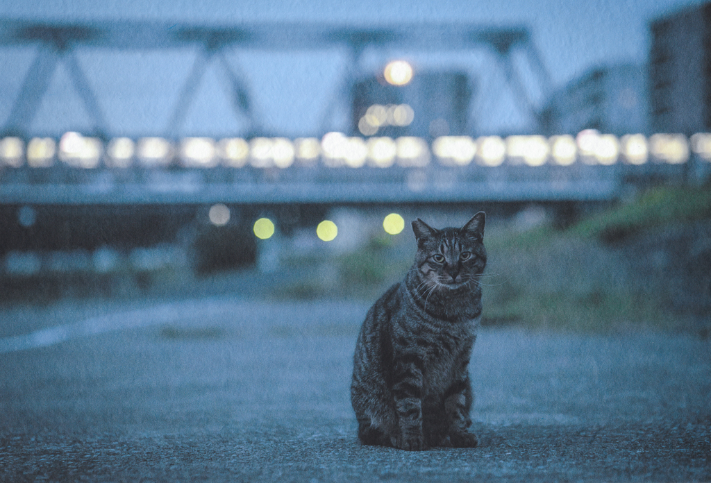 日が暮れて