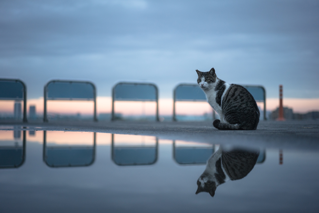 雨のあと