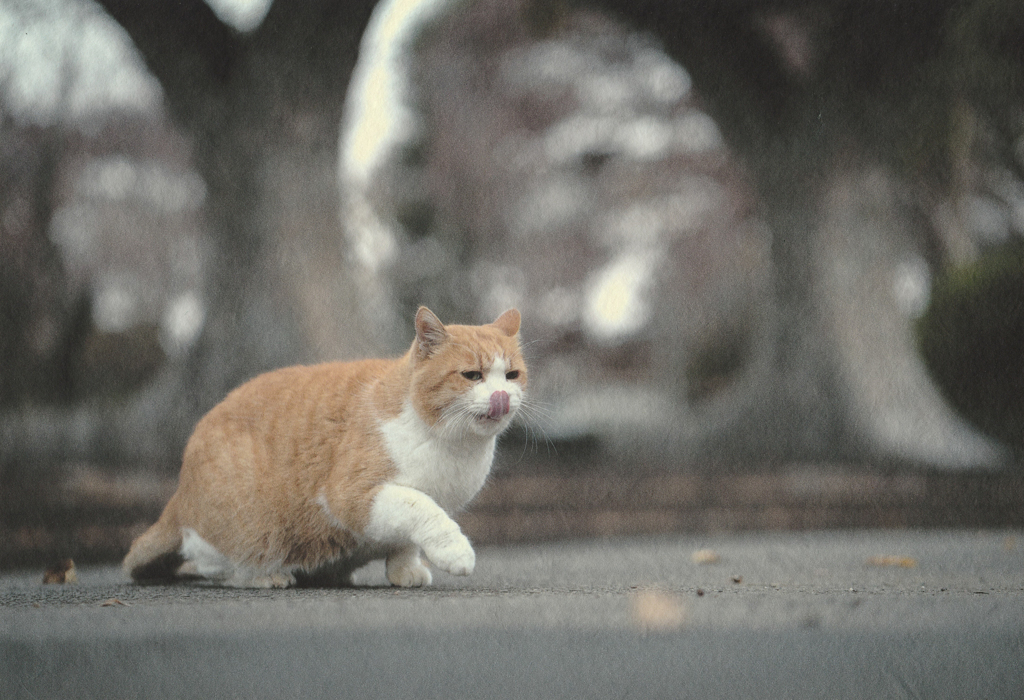 一歩