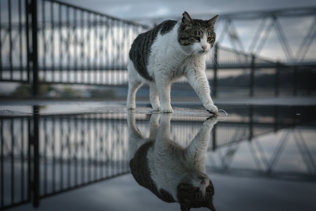 雨のあと