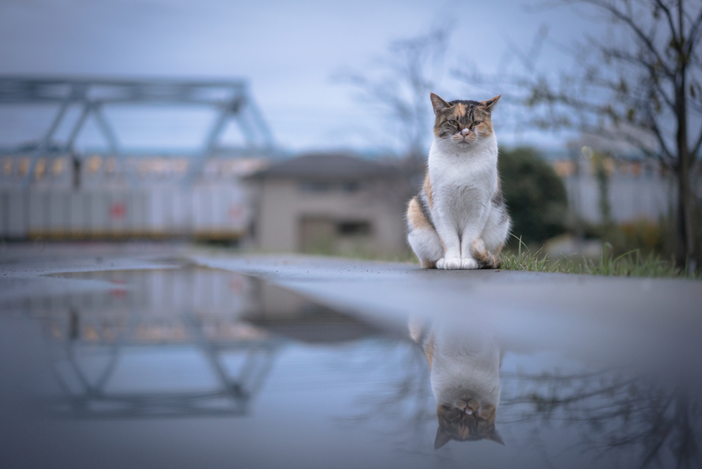 雨後の夕暮れ