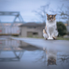 雨後の夕暮れ