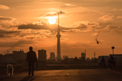 ラジコンの舞う夕暮れ