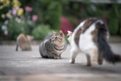 よそ見