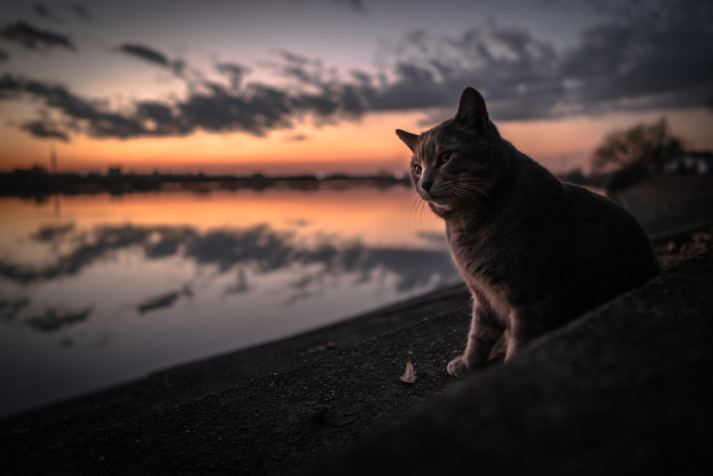 静かな夕暮れ