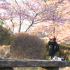 春の朝
