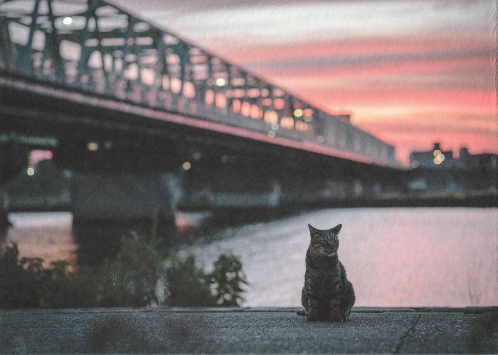 夕焼け空の下で