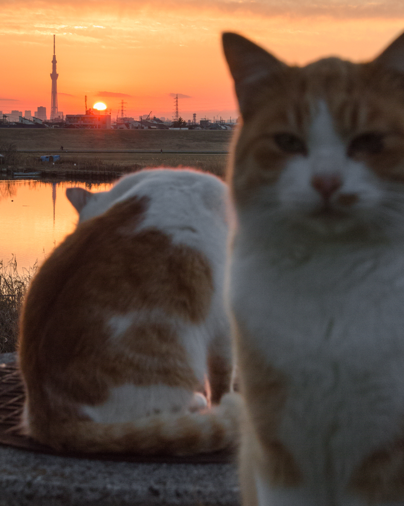 日が沈む...