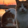 日が沈む...