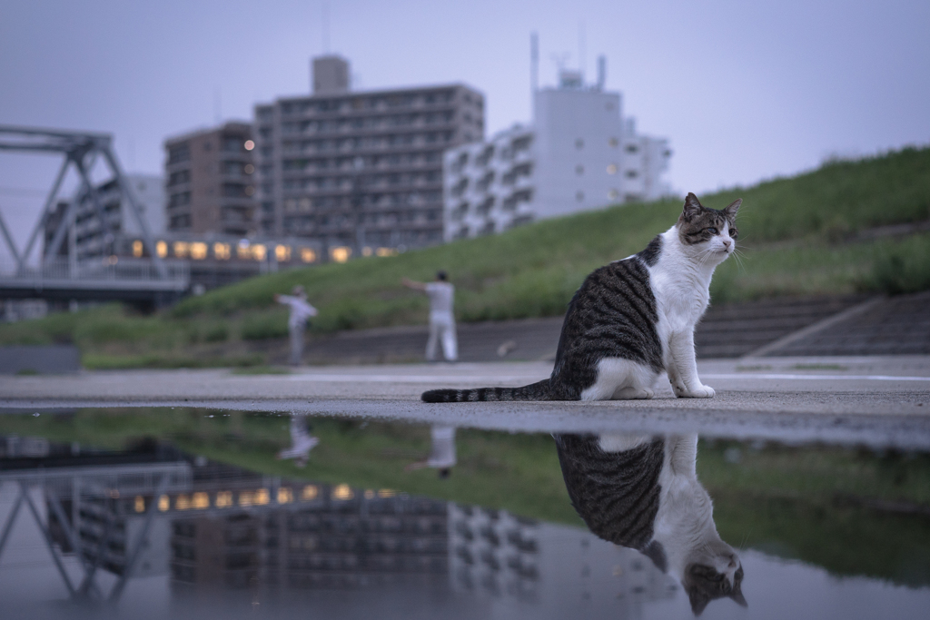 雨上がりの朝