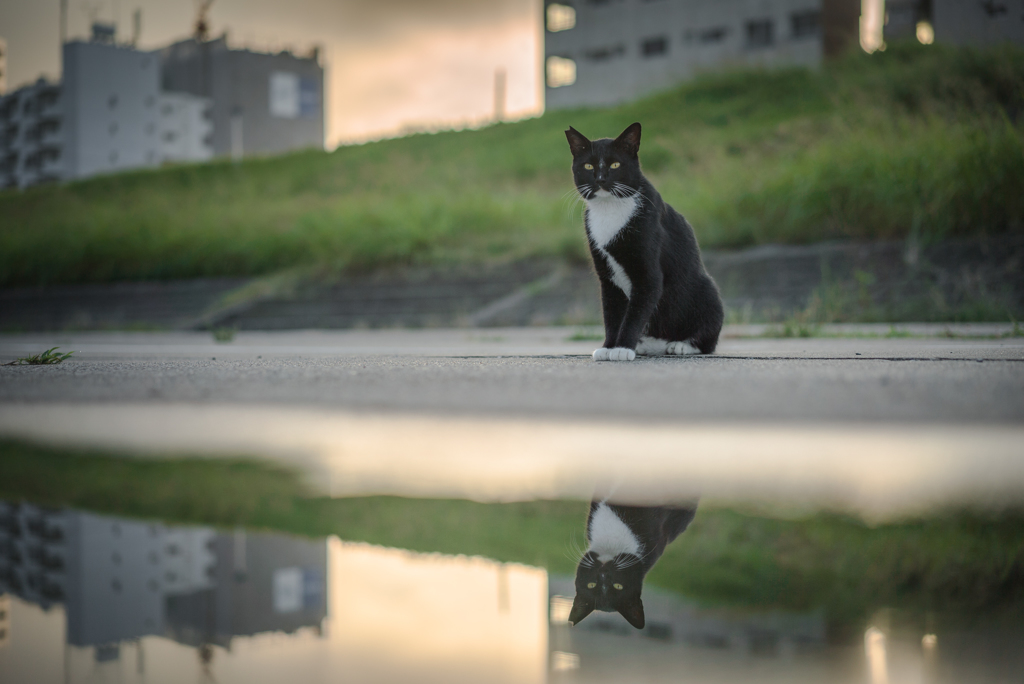 雨のあと、日の出のころに