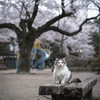 ひとりじめ