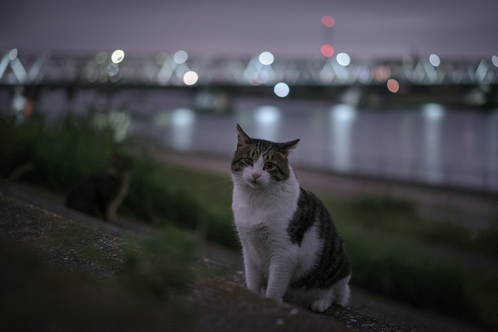 すっかり日が暮れて